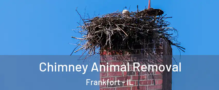 Chimney Animal Removal Frankfort - IL