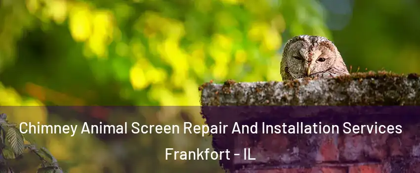 Chimney Animal Screen Repair And Installation Services Frankfort - IL