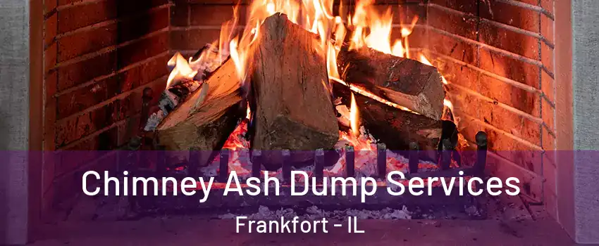 Chimney Ash Dump Services Frankfort - IL