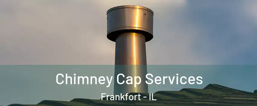  Chimney Cap Services Frankfort - IL