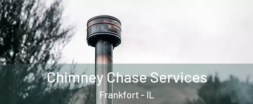  Chimney Chase Services Frankfort - IL