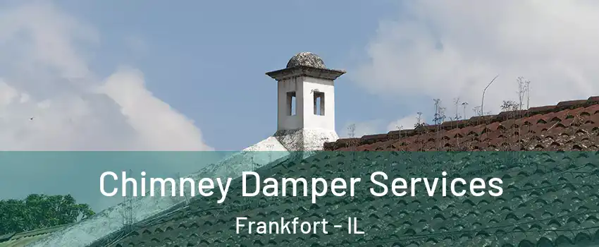  Chimney Damper Services Frankfort - IL
