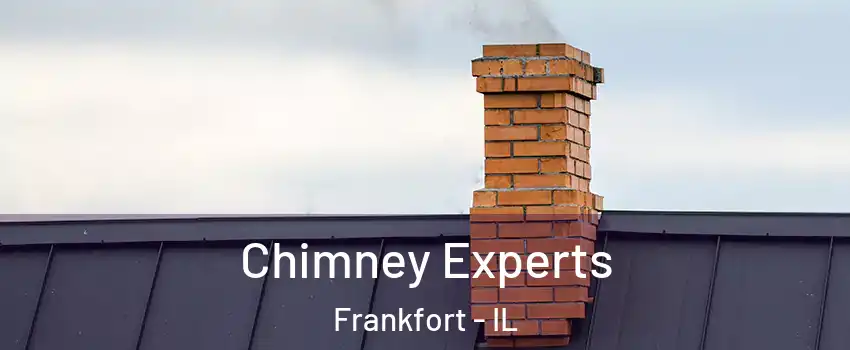  Chimney Experts Frankfort - IL