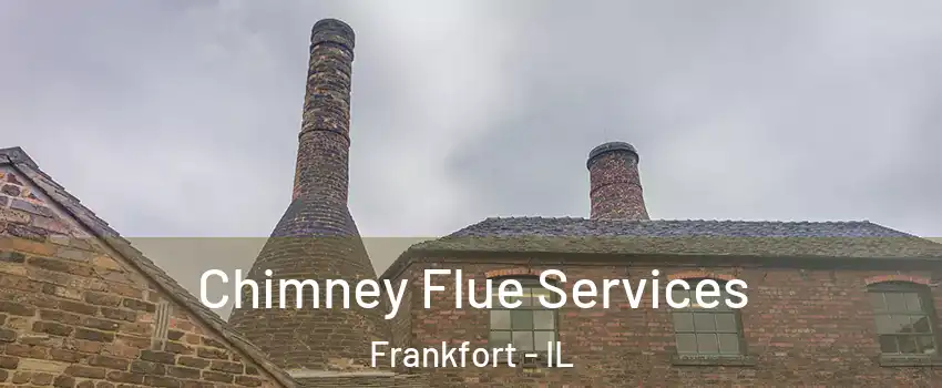  Chimney Flue Services Frankfort - IL