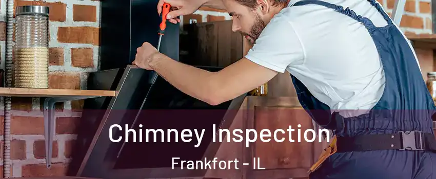 Chimney Inspection Frankfort - IL