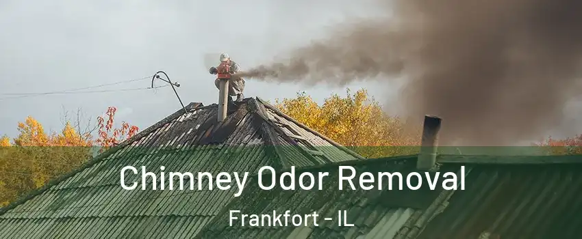  Chimney Odor Removal Frankfort - IL