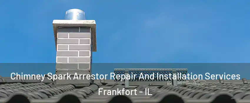  Chimney Spark Arrestor Repair And Installation Services Frankfort - IL