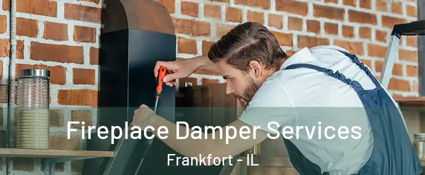  Fireplace Damper Services Frankfort - IL