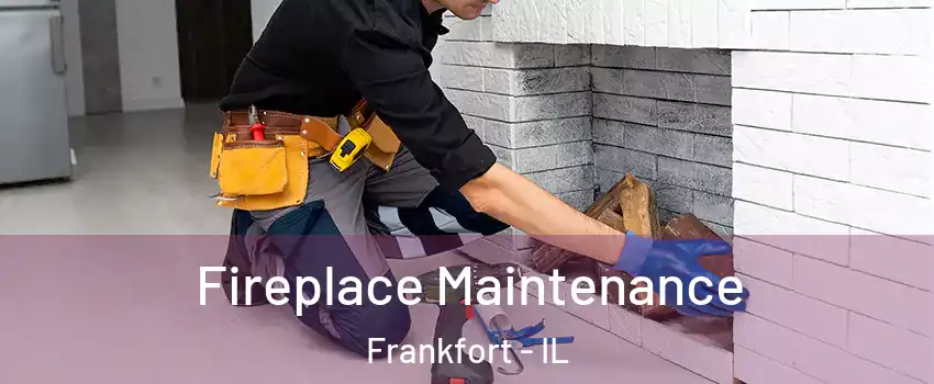  Fireplace Maintenance Frankfort - IL