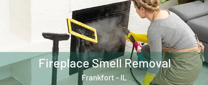  Fireplace Smell Removal Frankfort - IL