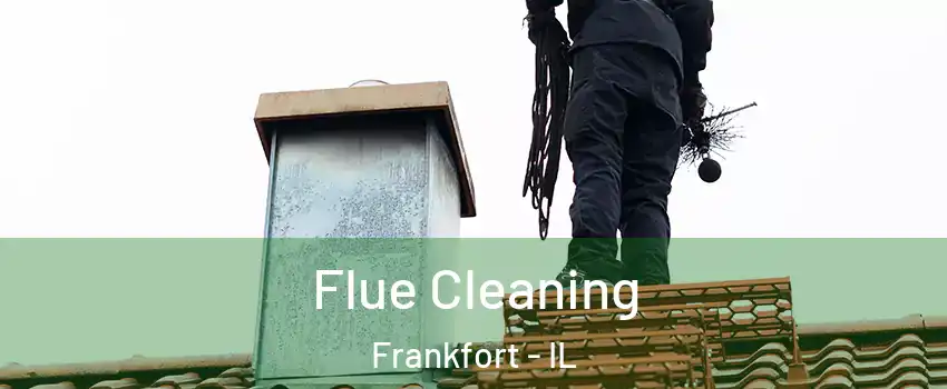  Flue Cleaning Frankfort - IL