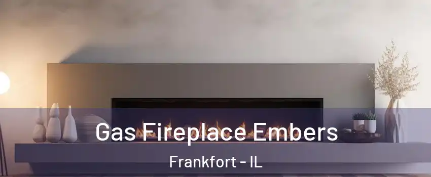  Gas Fireplace Embers Frankfort - IL