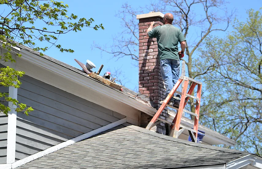 Chimney & Fireplace Inspections Services in Frankfort, IL