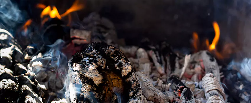 Creosote Removal Experts in Frankfort, IL