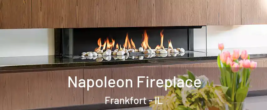  Napoleon Fireplace Frankfort - IL