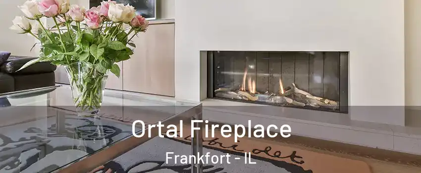  Ortal Fireplace Frankfort - IL