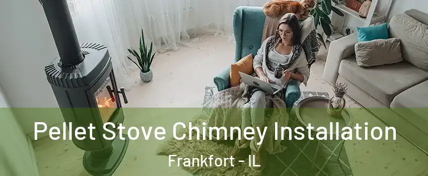 Pellet Stove Chimney Installation Frankfort - IL